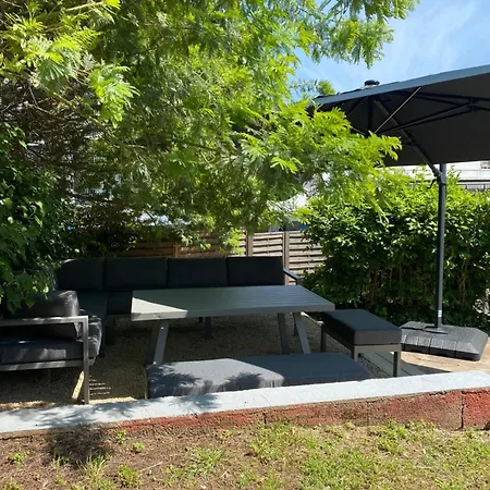 Les Goelands Au Coeur De *