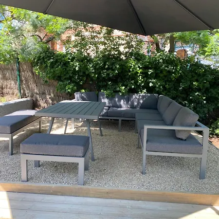 Les Goelands Au Coeur De Ла-Боль-Эскублак