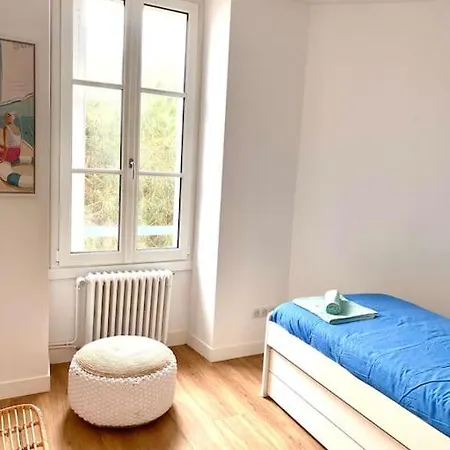 Les Goelands Au Coeur De