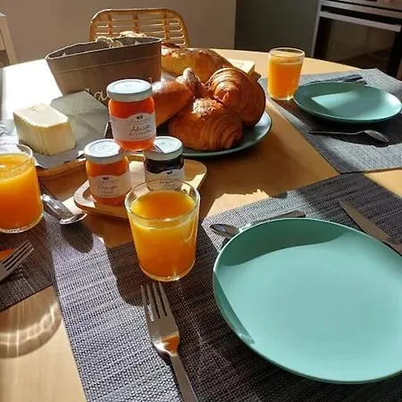 Les Goelands Au Coeur De