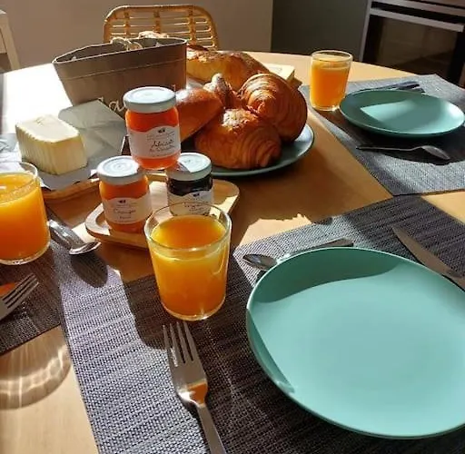 Les Goelands Au Coeur De