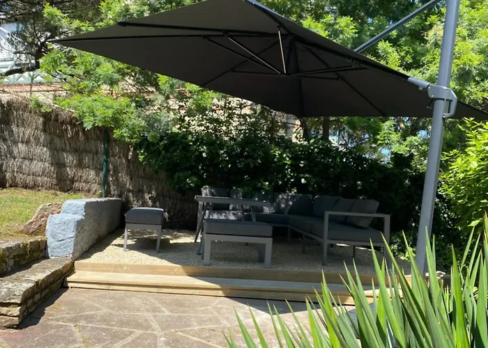 Les Goelands Au Coeur De